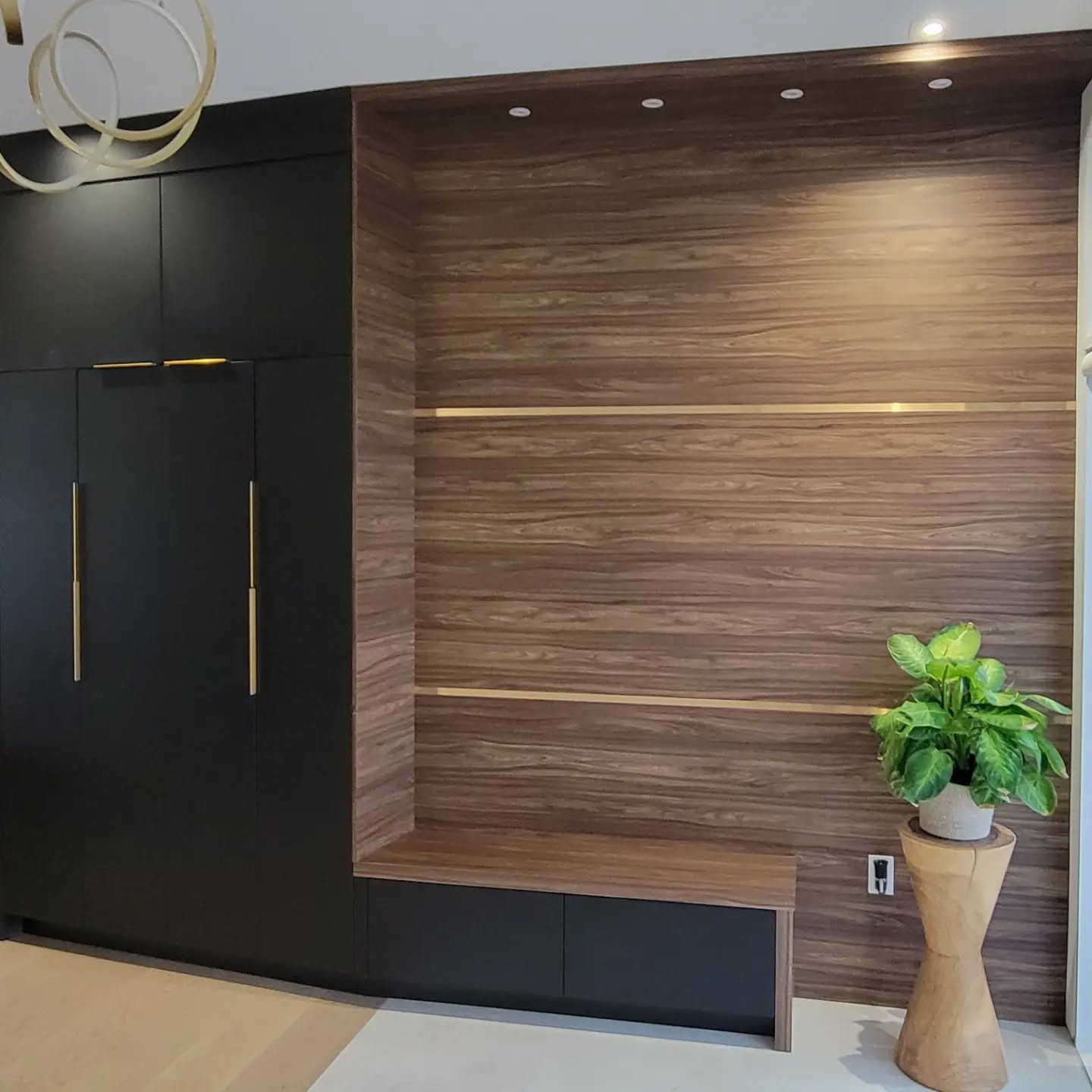 custom built-ins and closet design Toronto