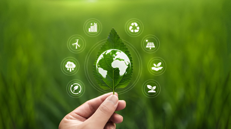 Eco-friendly custom cabinets in Brampton