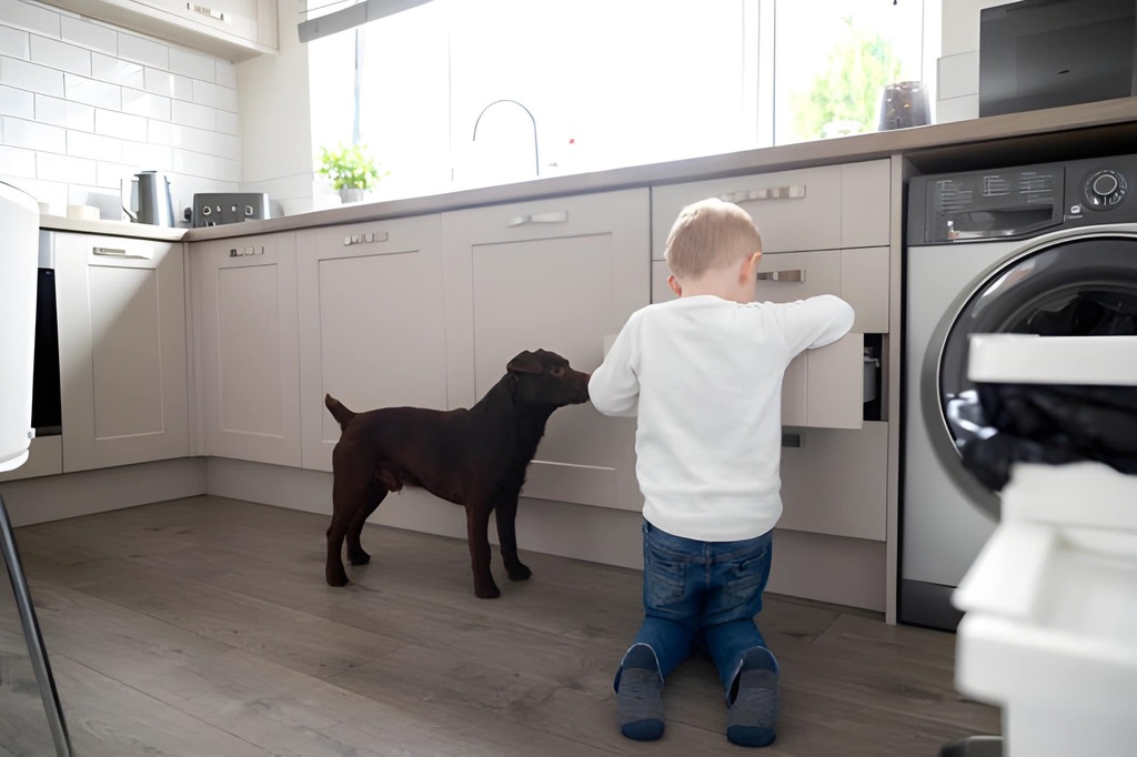 Kitchen Cabinet Design Tips for Homes with Young Kids